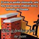 frase68.jpg
