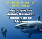 frase81.jpg