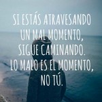 frase92.jpg